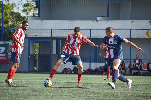 杏彩体育平台注册登录